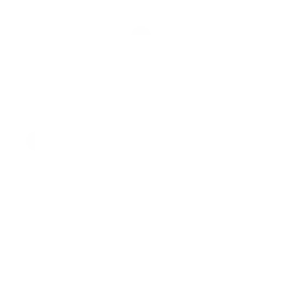 Why-Choose-What a Proper-Retaining-Wall-Should-Include-icon-strong-hold-fencing